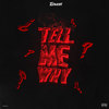 Tell Me Why (Explicit) - Tr3yway6k