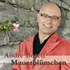 Ich dreh' bald durch - Andre Borell