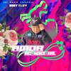 Amor Incondicional - Baby Flow