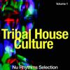 Fankel (Tribal Extended Mix) - DJ Galaxy