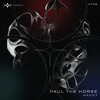 Nacht - Paul The Horse