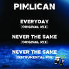 Never The Same (Instrumental Mix) - Pimlican