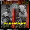 Si Caigo Me Levanto - Ofe-e&3l Moi