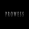 PROWESS (feat. Pendo46) - Didker&Pendo46