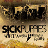 What Are You Looking For (Radio Mix) - Sick Puppies