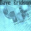 Bring Me Back To Life (Original Mix) - Dave Bridson