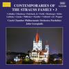 Albert, Op. 73 (Arr. J. Georgiadis for chamber orchestra) - Pardubice Czech Chamber Philharmonic Orchestra&John Georgiadis