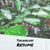 Theirselves Resume - Linett Hees