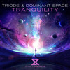 Tranquility (Extended Mix) - Triode&Dominant Space