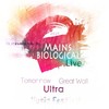 50分钟MIX Live!Tomorrow,Great wall,Ultra 2015 Mix By Mains Biological(Live) (live) - Mains Biological