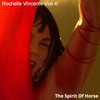 The Spirit of Horse - Rochelle Vincente von K