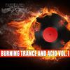 Acid Phase (Radio Edit) - Stefan Dabruck
