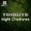 Deeper (Night Creatures Remix) - Noise Tribe