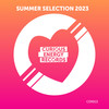 Spin My Records (Lizzie Curious Remix Edit) - Chris Maze&Ben Fox