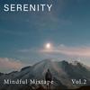 Mother Space (Farbror Resande Mac Remix) - Troels Hammer