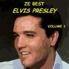 Heartbreak Hotel - Elvis Presley&The Jordanaires