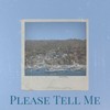 Please Tell Me - The Videls & The Paradons