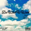 Do What U Want(feat. BDM Uno) (Explicit) - JAYLIT&BDM Uno