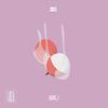 Lychee - Boltex&iamu