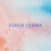 Cielo llora(feat. trabbey) - Othman Osco&trabbey