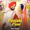 Punjabi Pyaar - Nitin Patkar