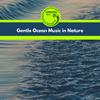 Melodic Owl and Ocean - Eric Library of Nature Sounds