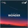 Bird Of Wonder - Elv