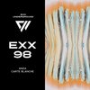 Carte Blanche (Radio Edit) - ANZA