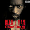 Hmm Hmm (Remix|Explicit) - Beenie Man&Foxy Brown