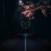 darkdarkdark - Zenaware