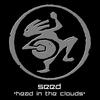 Head in the Clouds (Desert Dwellers remix) - Seed