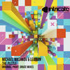The Puzzle (Druce Remix) - Michael Mashkov&Leaman&Druce