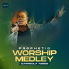 Prophetic Worship Medley, Vol. 2 - Sunmisola Agbebi