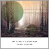 Check It - Alex Bohemien&Raf Parola