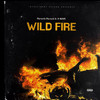 Wild Fire (Explicit) - Moriente Mariachi&K-NAVE&Tranquility