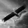 First 48 (Explicit) - Rob49