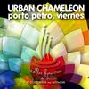 Porto Petro, Viernes (Ri9or Remix) - Urban Chameleon