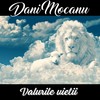 Valurile vietii - Dani Mocanu
