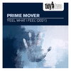 Feel What I Feel (Radio Edit) - Prime Mover