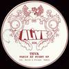 She's Playing (Version 2) - Teva