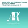 Drowning Sunlight (Original Mix) - Ronski Speed&Stoneface&Terminal&Sylvia Brandse