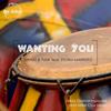 Wanting You (Classic House Mix) - Schwarz&Funk&Storm Marrero