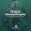 Fleeting Thoughts (Downtempo Mix) - Rospy