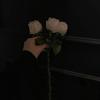 without you (feat. $ile, rien, perllune, noahsuri & jvne) (Explicit) - almiire&REIJIRO&luvinner&Aesty&BONERGANG&$ile&Rien&Perllune&noahsuri&Jvne