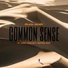 Common Sense (feat. Lyssa Corales & Trip'yon Post) - Splash Andrés&Lyssa Corales&Trip'yon Post