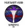 Auyantepui - Fourtwenty Sound