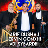 O moj motra jeme - ARIF DUSHAJ&Ervin Gonxhi&Adi Sybardhi