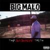 Glamorous(feat. Bruce Banna & Play J) (Explicit) - B.I.G. Malo&Play J&Bruce Banna