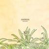 Bravado - Handbook