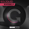 Reversible (Sayan Remix) - Soliquid